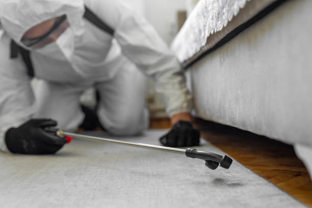 Professional Termite Control technician working in Wayland, IA