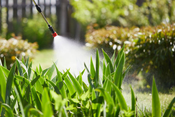 24/7 Emergency Termite Control experts in Wayland, IA